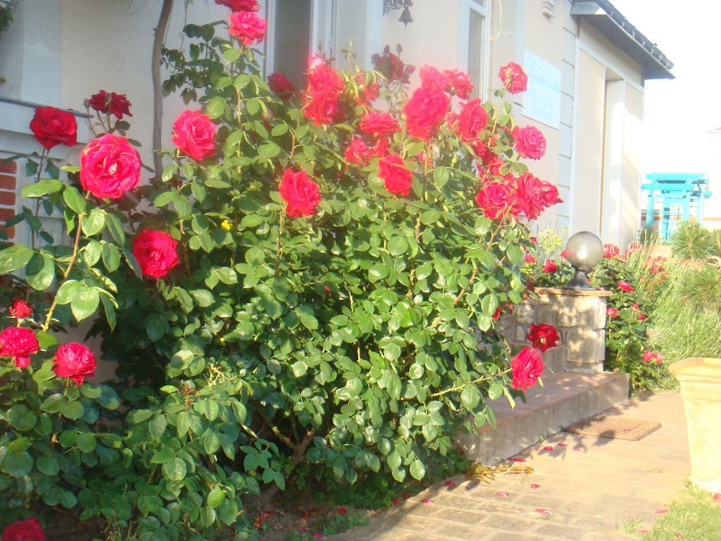 Villa Chanelle Les Rosiers-sur-Loire ภายนอก รูปภาพ