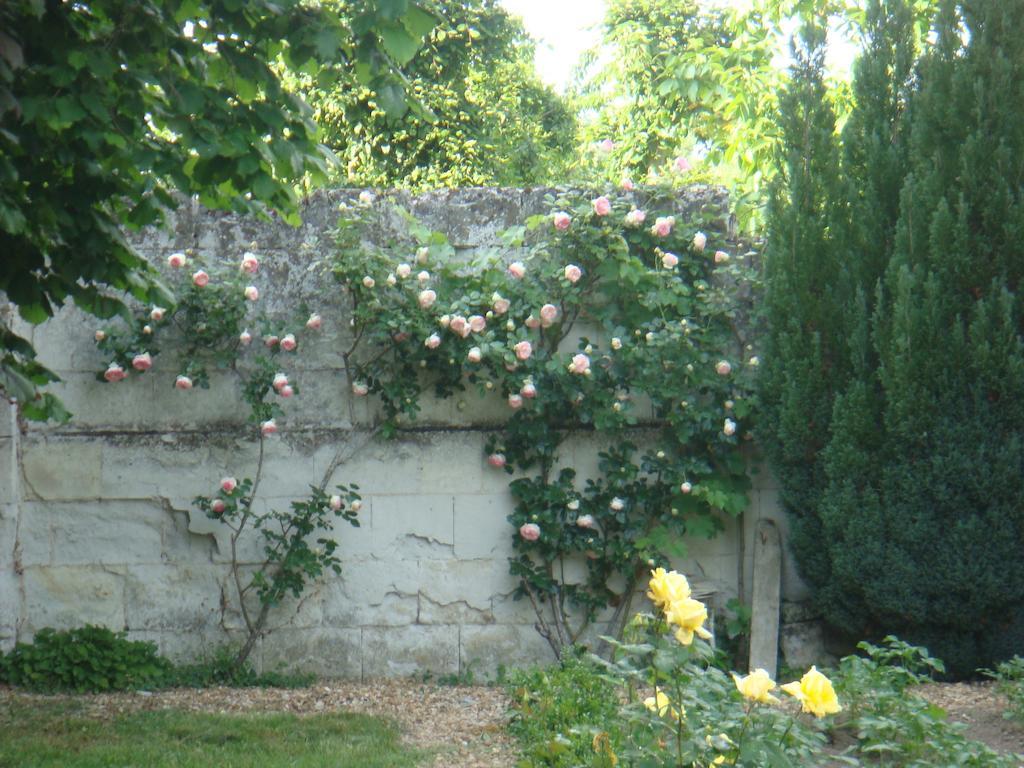 Villa Chanelle Les Rosiers-sur-Loire ภายนอก รูปภาพ